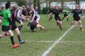 RUGBY CHARTRES 107.JPG
